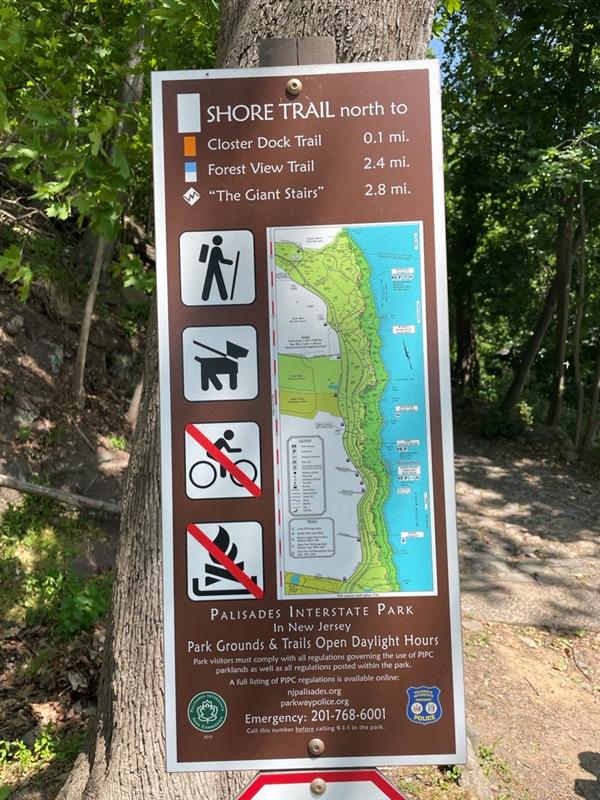 Easy Hike, Happy Pup: A Quick Escape to Palisades Interstate Park! 🥾🐶🌳