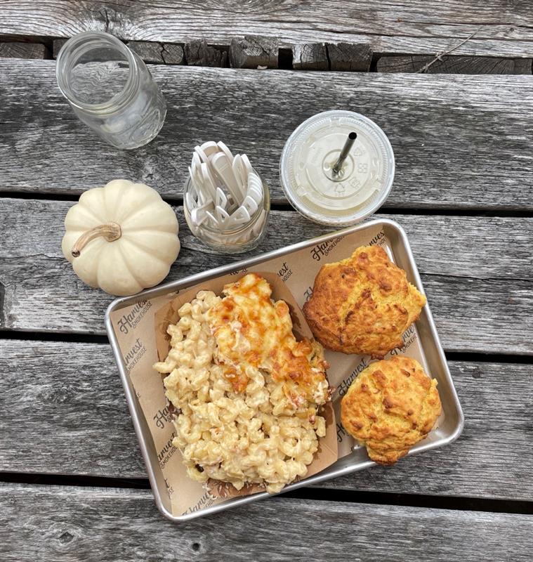 Mac ‘n Cheese, Donuts & Pumpkins at Golden Harvest Farms!